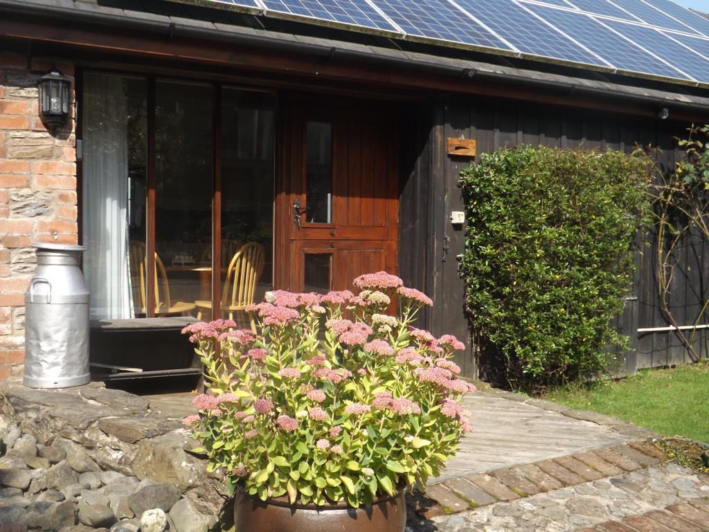 Irfon Cottage Builth Wells Dış mekan fotoğraf